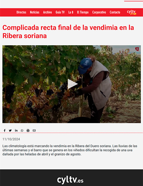 Prensa - Bodegas Castillejo de Robledo